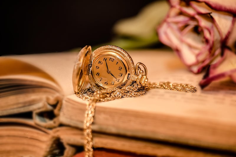 Time Traveling Agent
